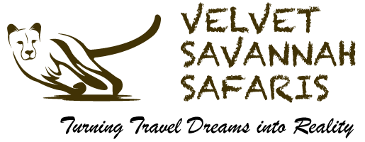 Velvet Savannah Safaris